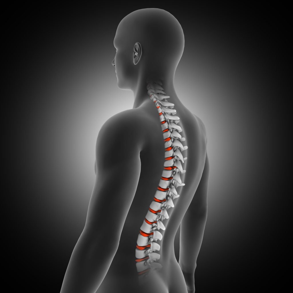 3d Render Medical Background With Male Figure With Spine Discs Highlighted 1024x1024 1