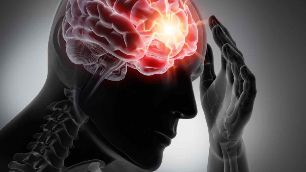 Brain KBsbWL2