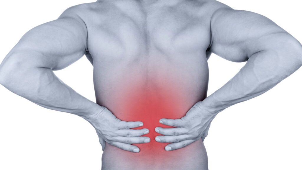Painhealth Low Back Pain White Bg